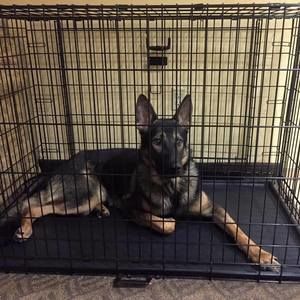 Meet your Posher, Philip